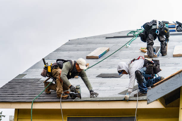 Professional Storm Damage Roof Repair technician working in Longville, LA